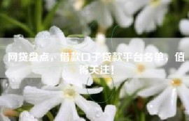 网贷盘点，借款口子贷款平台名单，值得关注！