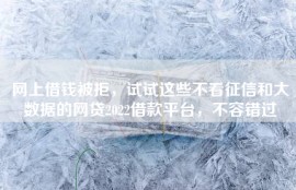 网上借钱被拒，试试这些不看征信和大数据的网贷2022借款平台，不容错过