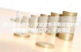 网上借钱被拒，试试这些不看征信的网贷有哪些借款口子，不容错过