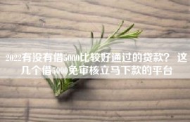 2022有没有借5000比较好通过的贷款？ 这几个借5000免审核立马下款的平台