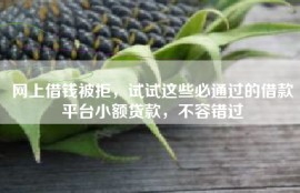 网上借钱被拒，试试这些必通过的借款平台小额贷款，不容错过