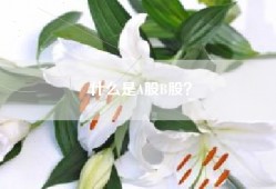 什么是A股B股？