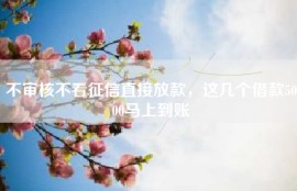 不审核不看征信直接放款，这几个借款5000马上到账