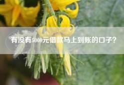 有没有5000元借款马上到账的口子？