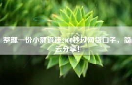 整理一份小额借钱2000秒过网贷口子，简云分享！