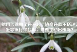 信用卡逾期了还不起，协商还款不搭理，坐等银行来起诉，需要主动出击吗？