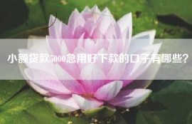 小额贷款5000急用好下款的口子有哪些？