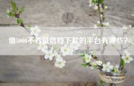 借5000不看征信秒下款的平台有哪些？