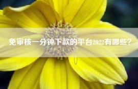 免审核一分钟下款的平台2022有哪些？