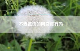 不查征信的网贷真有吗