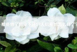 那些借了网贷不还的人后来都怎么样了？