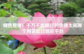 精选整理！千万不能错过的负债太高哪个网贷能过借款平台