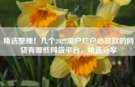 精选整理！几个2022黑户烂户必放款的网贷有哪些网贷平台，精选分享