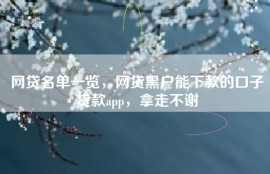 网贷名单一览，网贷黑户能下款的口子贷款app，拿走不谢