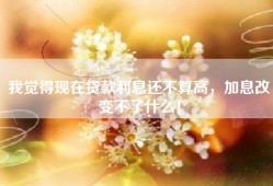 我觉得现在贷款利息还不算高，加息改变不了什么！