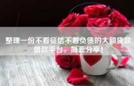 整理一份不看征信不看负债的大额贷款借款平台，简云分享！