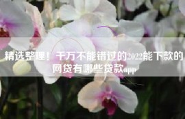 精选整理！千万不能错过的2022能下款的网贷有哪些贷款app