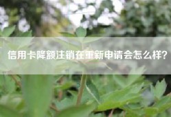 信用卡降额注销在重新申请会怎么样？