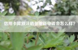 信用卡降额注销在重新申请会怎么样？