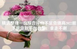 精选整理一份综合评分不足负债高2022能下款贷款平台名单，拿走不谢