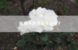 抵押车到底安不安全？