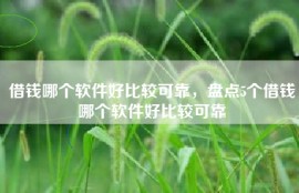 借钱哪个软件好比较可靠，盘点5个借钱哪个软件好比较可靠