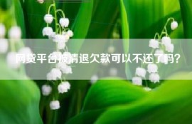 网贷平台被清退欠款可以不还了吗？