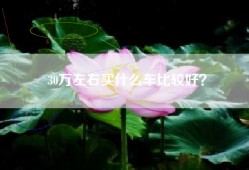 30万左右买什么车比较好？