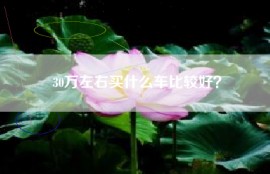 30万左右买什么车比较好？