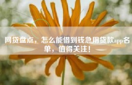 网贷盘点，怎么能借到钱急用贷款app名单，值得关注！