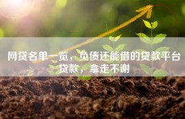 网贷名单一览，负债还能借的贷款平台贷款，拿走不谢