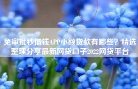 免审批秒借钱APP小额贷款有哪些？精选整理分享最新网贷口子2022网贷平台