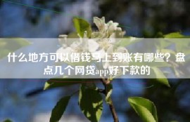 什么地方可以借钱马上到账有哪些？盘点几个网贷app好下款的