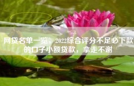网贷名单一览，2022综合评分不足必下款的口子小额贷款，拿走不谢