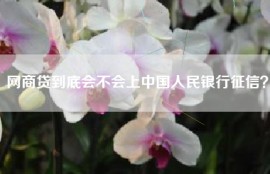 网商贷到底会不会上中国人民银行征信？