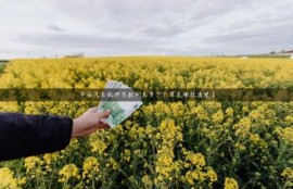 平安汽车抵押贷款利息多少？算笔账就清楚了