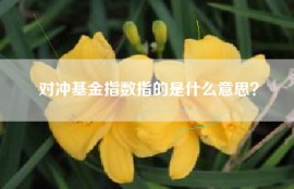 对冲基金指数指的是什么意思？