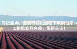 网贷盘点，征信很花也能稳下款的口子2022借款软件名单，值得关注！