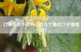 口袋花好下款吗，这几个借款口子值得一试！