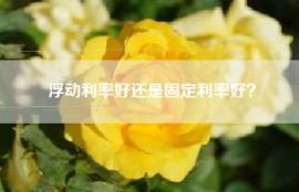 浮动利率好还是固定利率好？