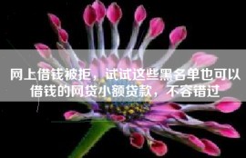 网上借钱被拒，试试这些黑名单也可以借钱的网贷小额贷款，不容错过