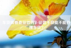 车贷需要查征信吗？征信不良能不能办理车贷？