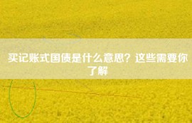 买记账式国债是什么意思？这些需要你了解