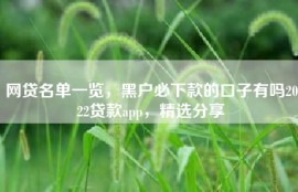 网贷名单一览，黑户必下款的口子有吗2022贷款app，精选分享