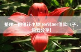 整理一份借钱小额1000到3000借款口子，简云分享！