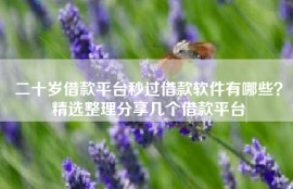二十岁借款平台秒过借款软件有哪些？精选整理分享几个借款平台