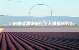 如何申请建设银行个人消费贷款？