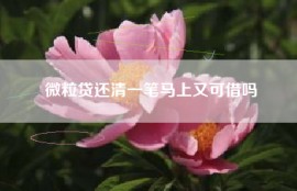 微粒贷还清一笔马上又可借吗