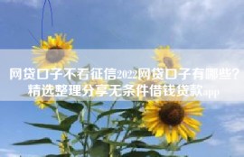 网贷口子不看征信2022网贷口子有哪些？精选整理分享无条件借钱贷款app