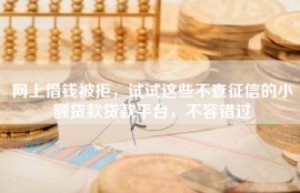 网上借钱被拒，试试这些不查征信的小额贷款贷款平台，不容错过